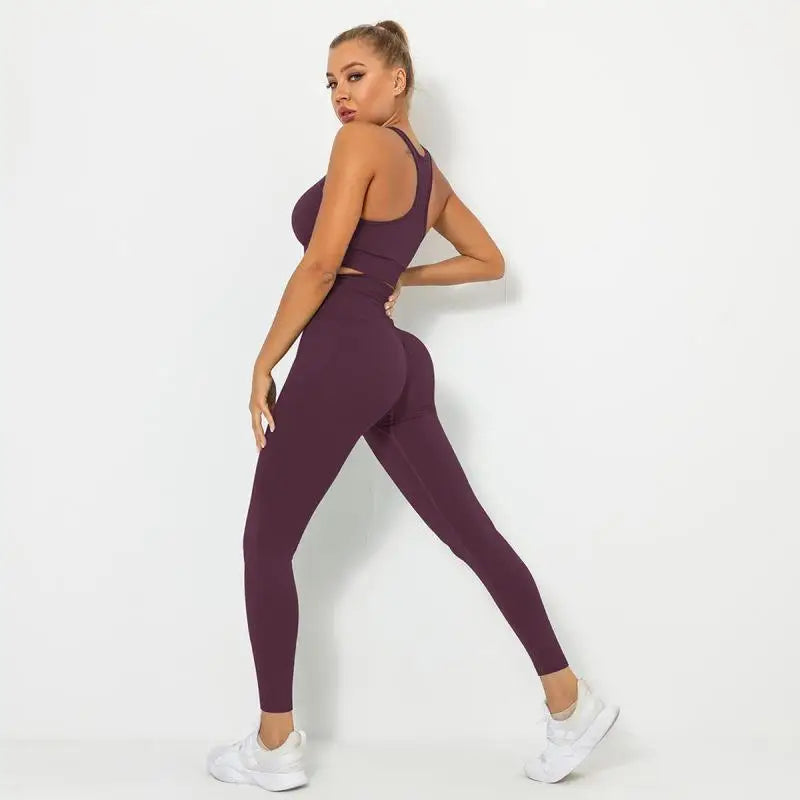 Women's  2 Pieces Seamless Leggings Sports Bra Tracksuits