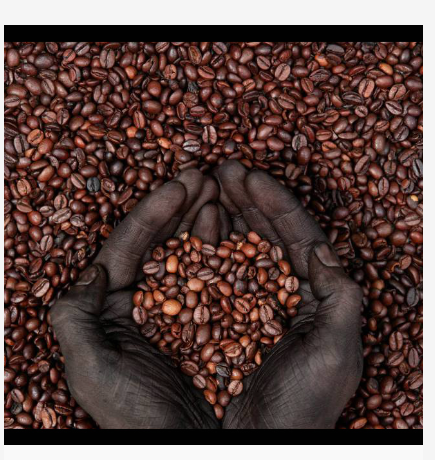 High Grade Ethiopian Organic Coffee- Coming Soon