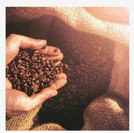 High Grade Ethiopian Organic Coffee- Coming Soon