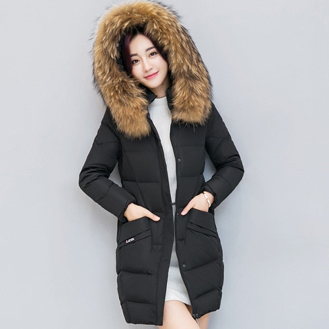 Warm Winter Cotton Jacket New Zipper Coat for Women